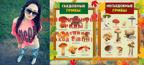 МДПВ Алексин