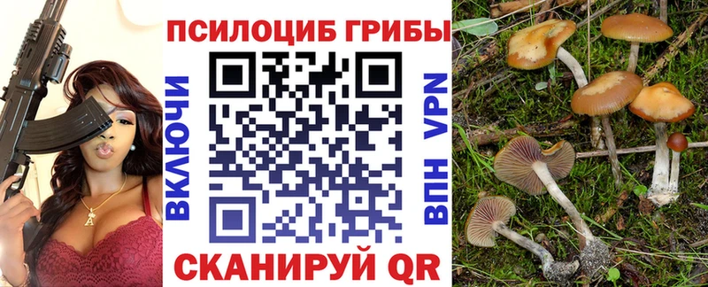 Псилоцибиновые грибы мицелий  Коряжма 
